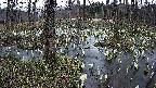 mizubasho1-20250409180015.jpg