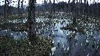 mizubasho1-20250409182016.jpg