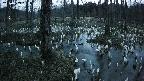 mizubasho1-20250409183013.jpg