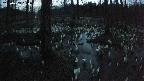 mizubasho1-20250409184016.jpg
