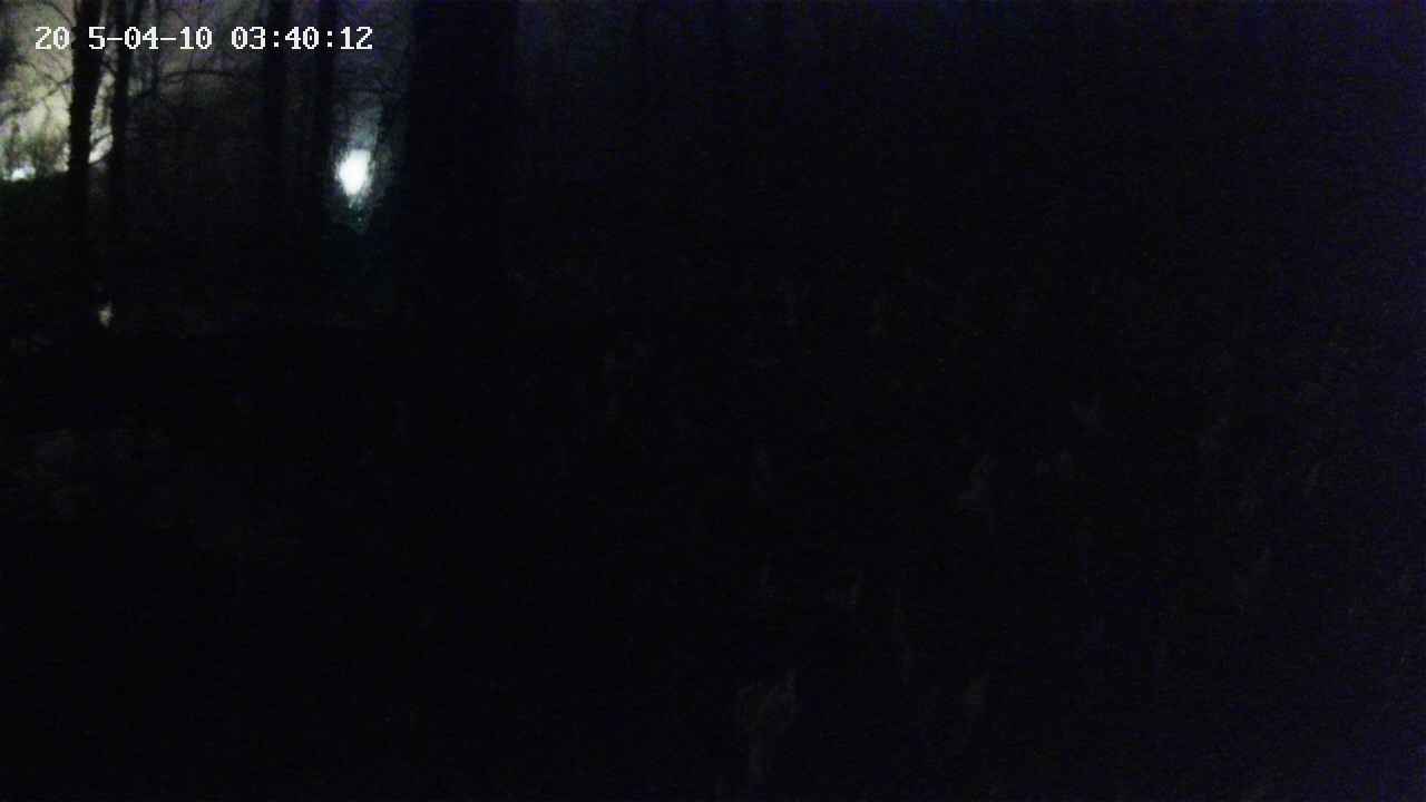 mizubasho1-20250410034013.jpg