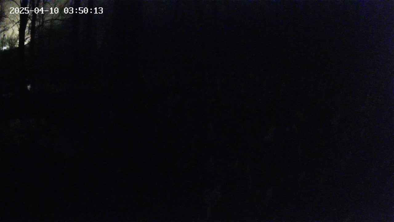 mizubasho1-20250410035014.jpg