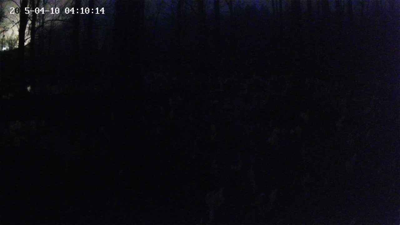 mizubasho1-20250410041015.jpg