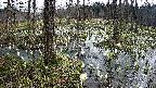 mizubasho1-20250410085018.jpg