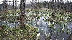 mizubasho1-20250410113017.jpg