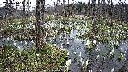 mizubasho1-20250410114016.jpg