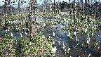 mizubasho1-20250410130017.jpg