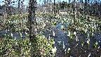 mizubasho1-20250410133018.jpg