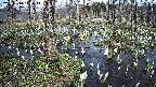 mizubasho1-20250410142016.jpg
