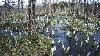 mizubasho1-20250410152015.jpg