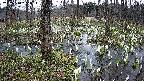mizubasho1-20250410164017.jpg