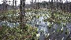 mizubasho1-20250410171017.jpg