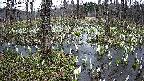 mizubasho1-20250410173018.jpg
