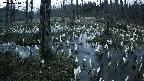 mizubasho1-20250410183015.jpg