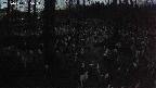 mizubasho1-20250410185015.jpg