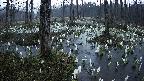 mizubasho1-20250411050017.jpg