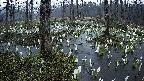 mizubasho1-20250411051016.jpg