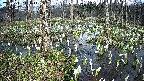 mizubasho1-20250411140017.jpg