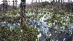 mizubasho1-20250411145015.jpg