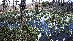 mizubasho1-20250411151015.jpg