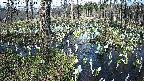 mizubasho1-20250411152017.jpg