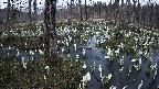 mizubasho1-20250411183016.jpg
