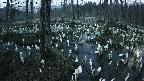 mizubasho1-20250411184015.jpg