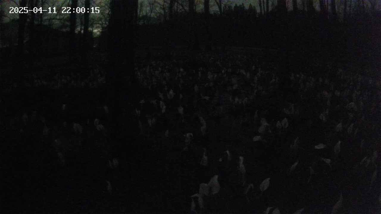 mizubasho1-20250411220016.jpg