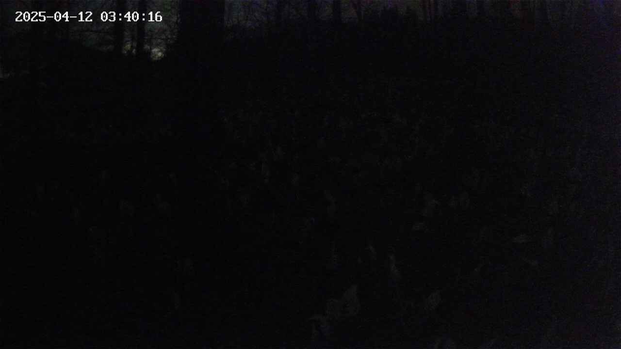 mizubasho1-20250412034016.jpg