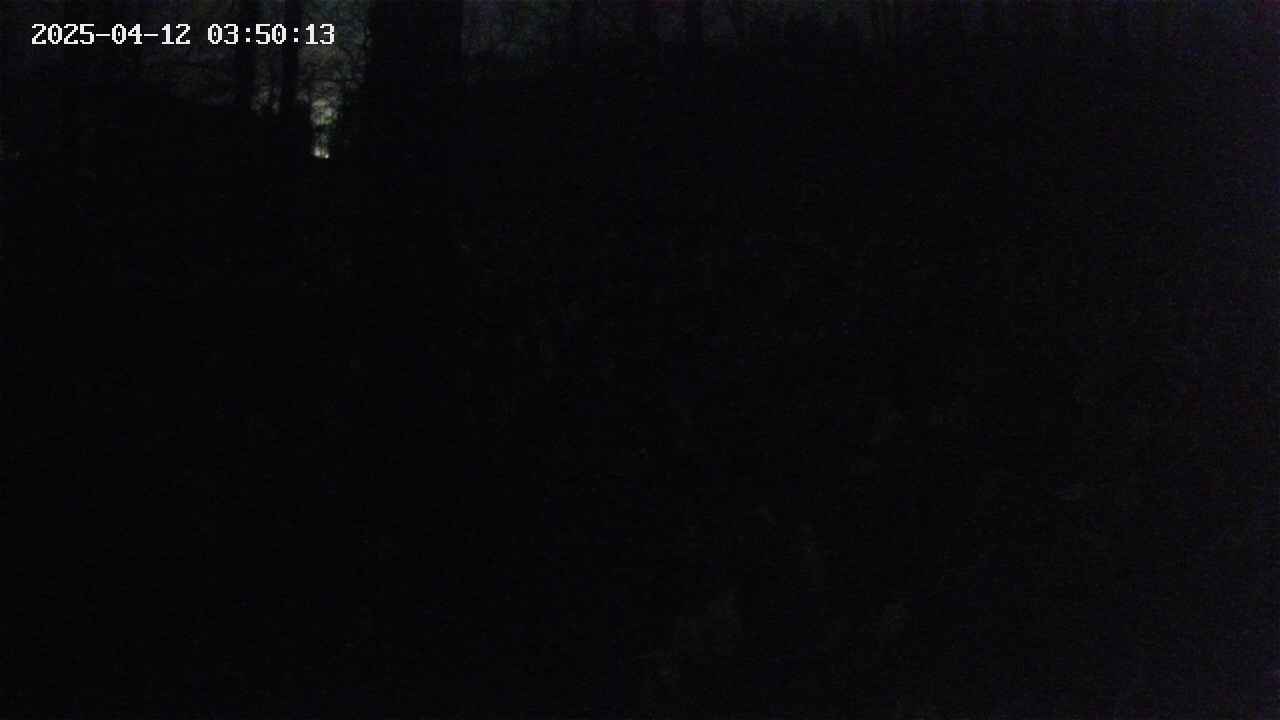 mizubasho1-20250412035014.jpg