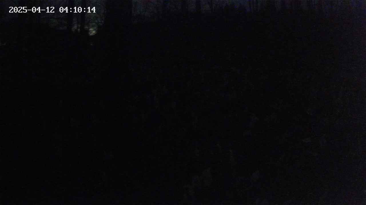 mizubasho1-20250412041015.jpg