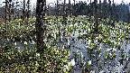 mizubasho1-20250412090019.jpg