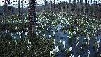 mizubasho1-20250412183016.jpg