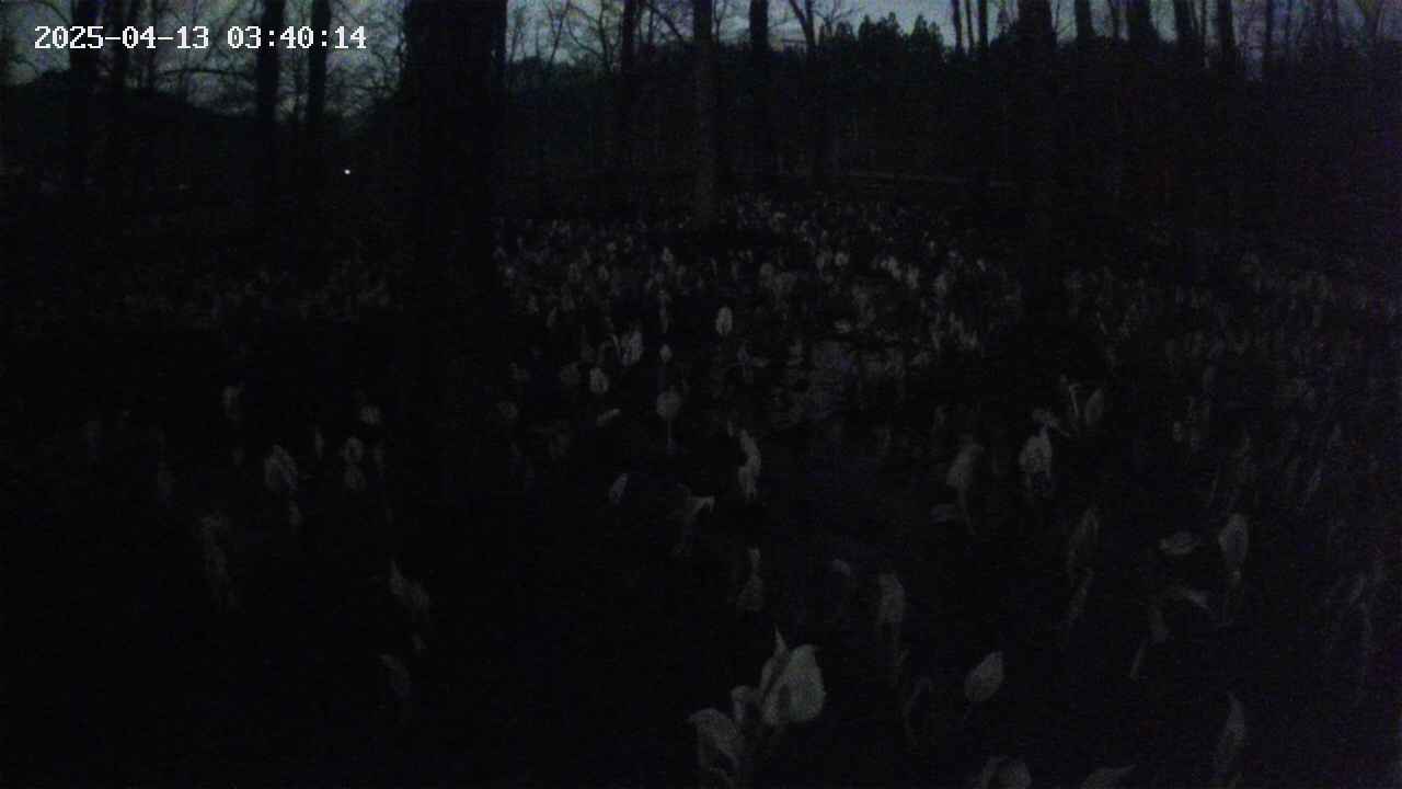 mizubasho1-20250413034016.jpg