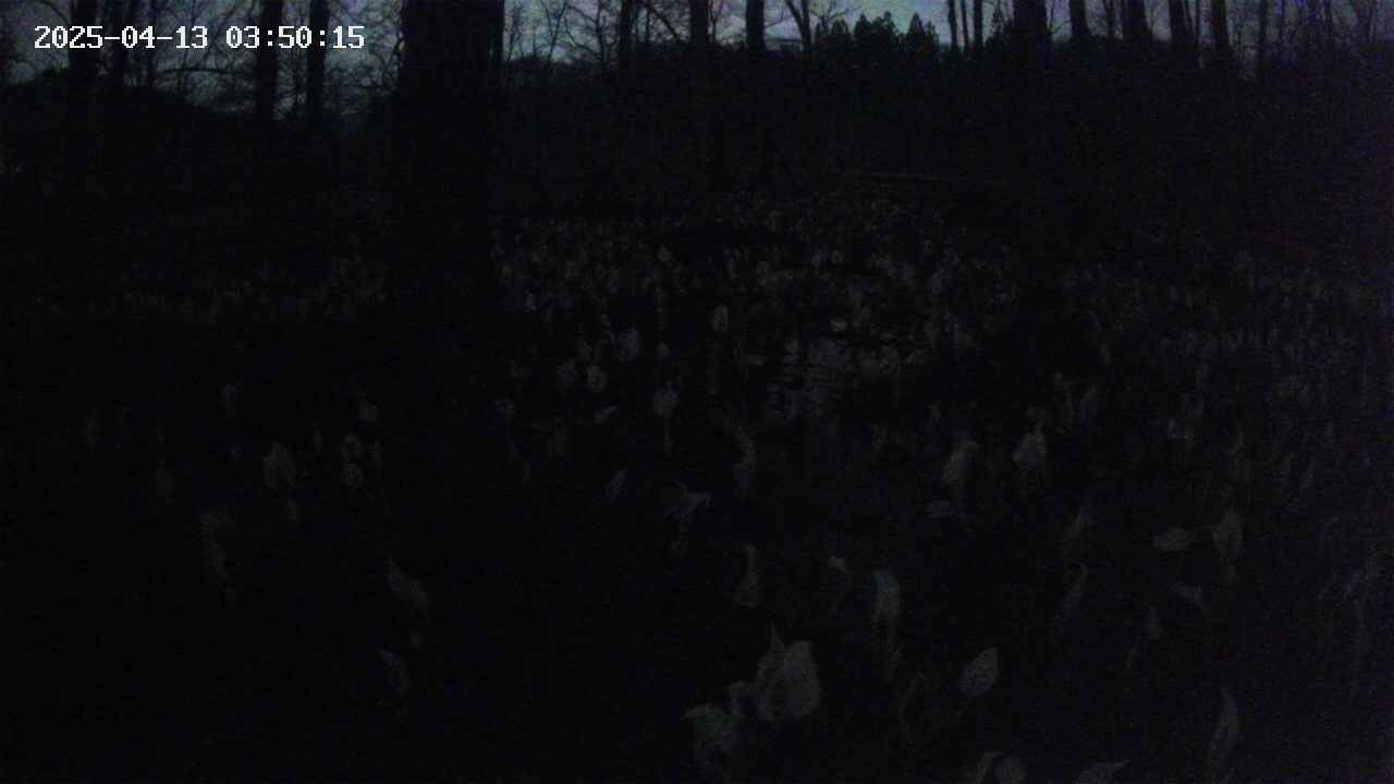 mizubasho1-20250413035016.jpg