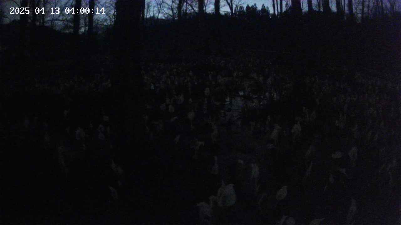mizubasho1-20250413040015.jpg