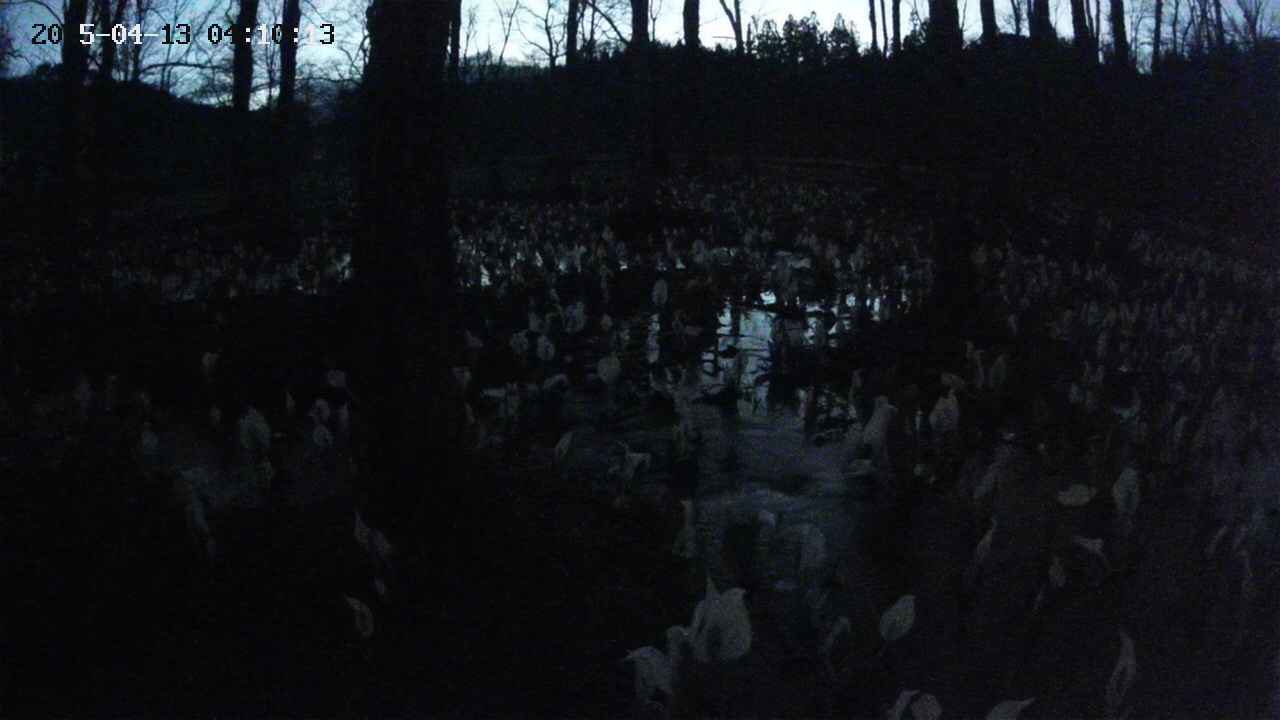 mizubasho1-20250413041014.jpg