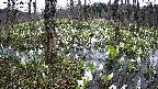 mizubasho1-20250413120016.jpg