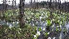 mizubasho1-20250413121018.jpg