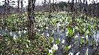 mizubasho1-20250413122017.jpg