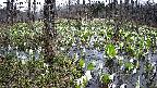 mizubasho1-20250413153016.jpg