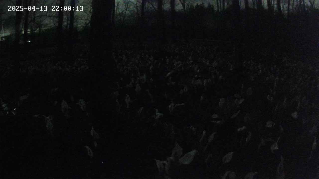 mizubasho1-20250413220015.jpg