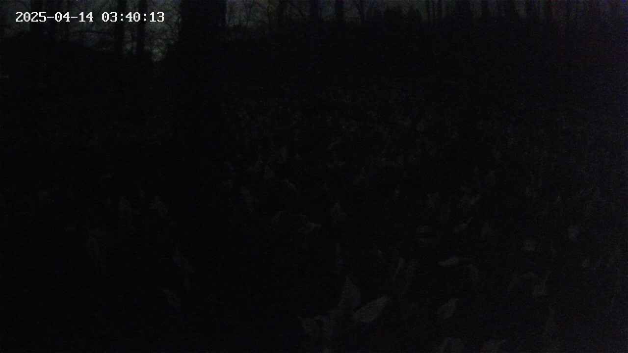 mizubasho1-20250414034014.jpg