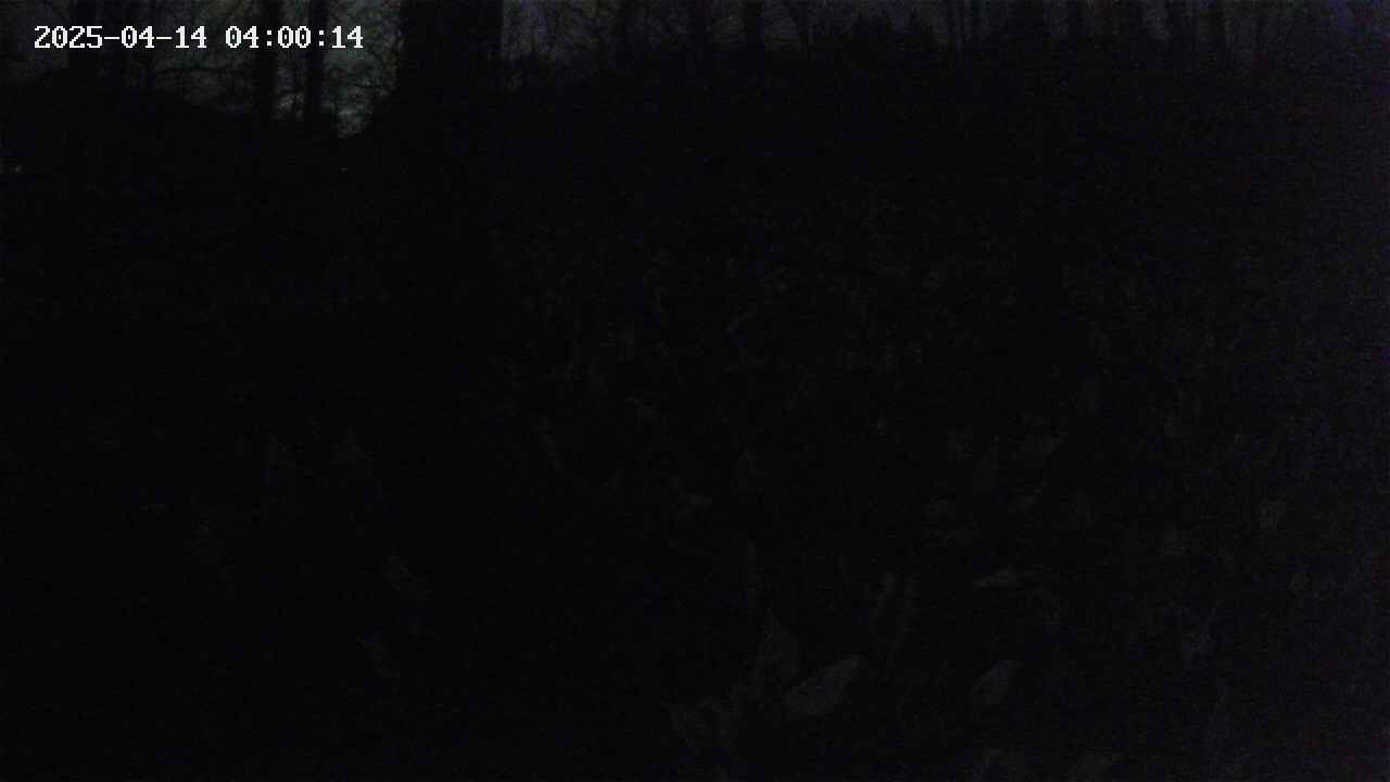 mizubasho1-20250414040015.jpg
