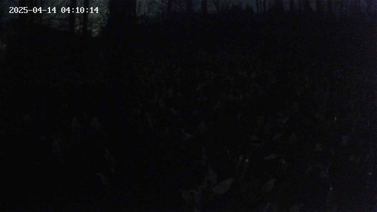 mizubasho1-20250414041015.jpg