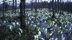 mizubasho1-20250414183015.jpg