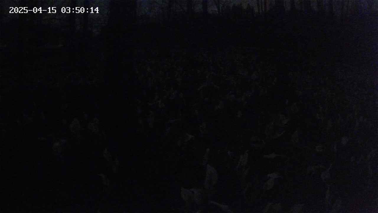 mizubasho1-20250415035015.jpg