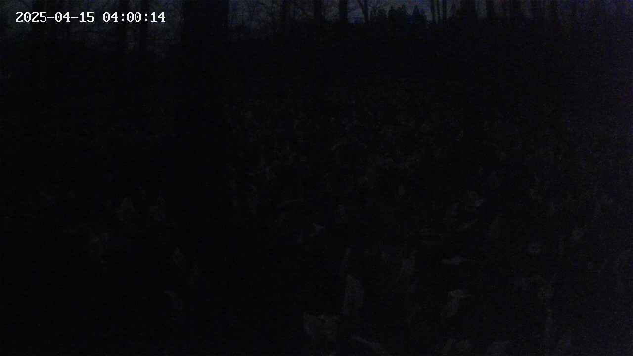 mizubasho1-20250415040015.jpg
