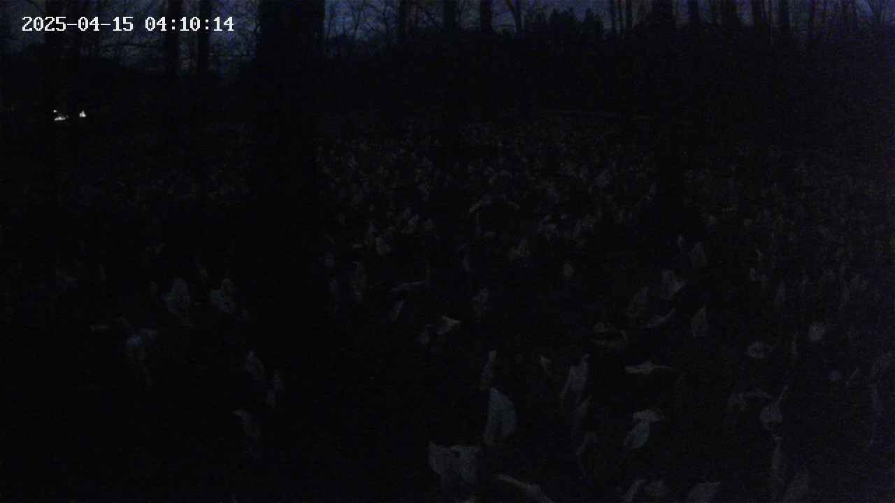 mizubasho1-20250415041015.jpg