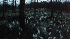mizubasho1-20250415185015.jpg